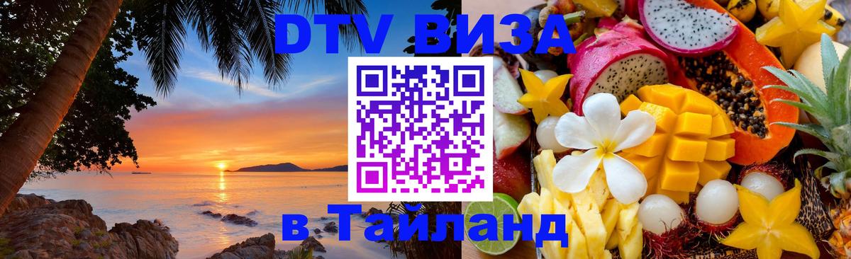 Оформление DTV визы под ключ: стоимость и тарифы, только загранпаспорт - 18.11.2025 